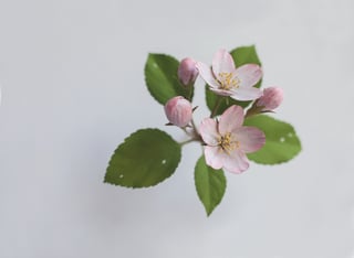 137 Yoshihiro Suda