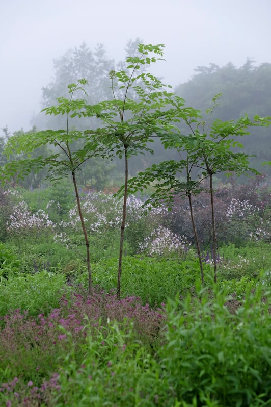 20150623-DSCF9108