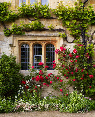 GardenDesignMasterClass_p117
