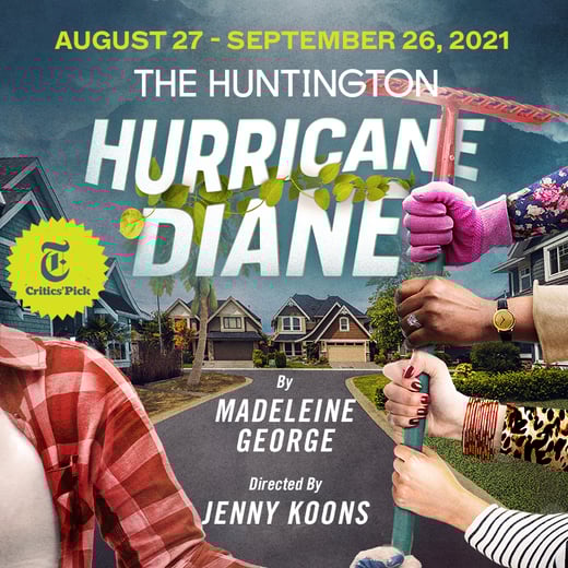 HurricaneDiane_800x800