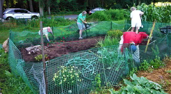 In less than a week, volunteers had reclaimed the  plot