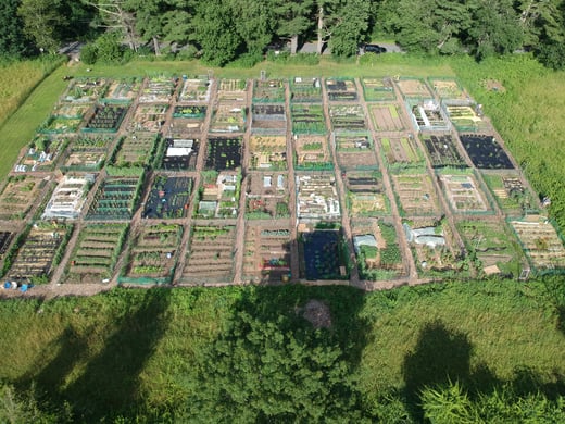Medfield Community Garden June 2020