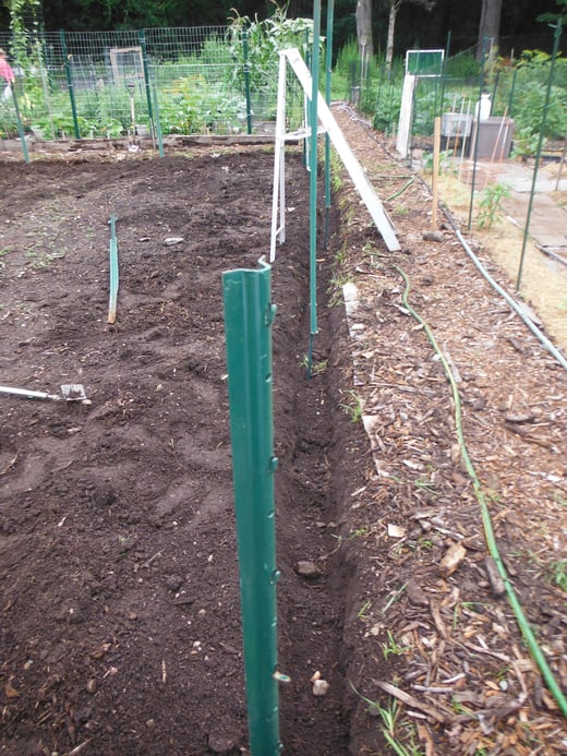The garden needed to be cleaned and re-fenced