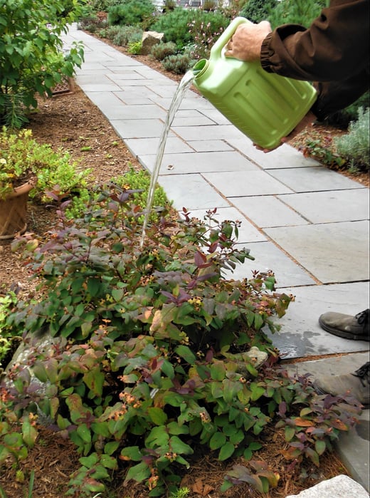 Water just the plants in your garden - not the entire garden_