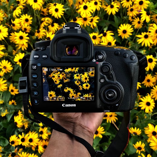 jeff-cadestin-knE-QL3UdUk-unsplash