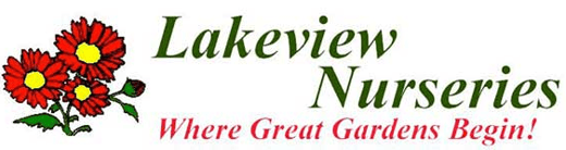 logo-lakeview