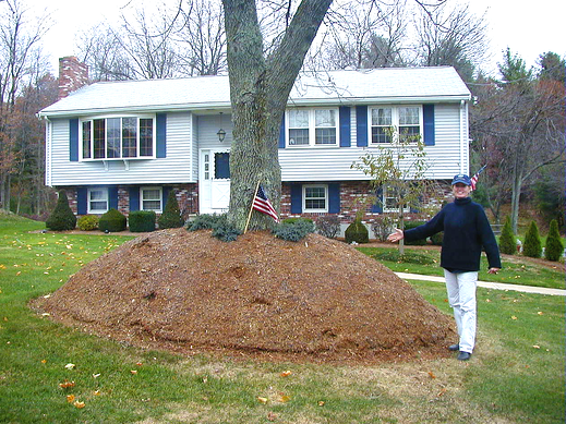 mulch muffin jan 05