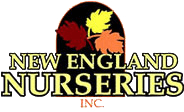 new england nurseries