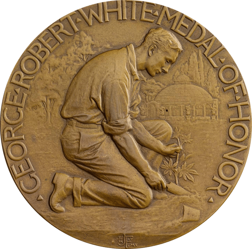 white medal inverse
